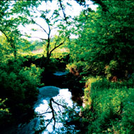 ECO-scan (Flora- & Faunawet) ECO-scan (Flora- Faunawet)